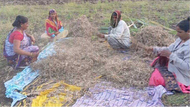 Sarayi Sakhi Farmer Producer Organisation, Bhoom, Osmanabad district, Maharashtra