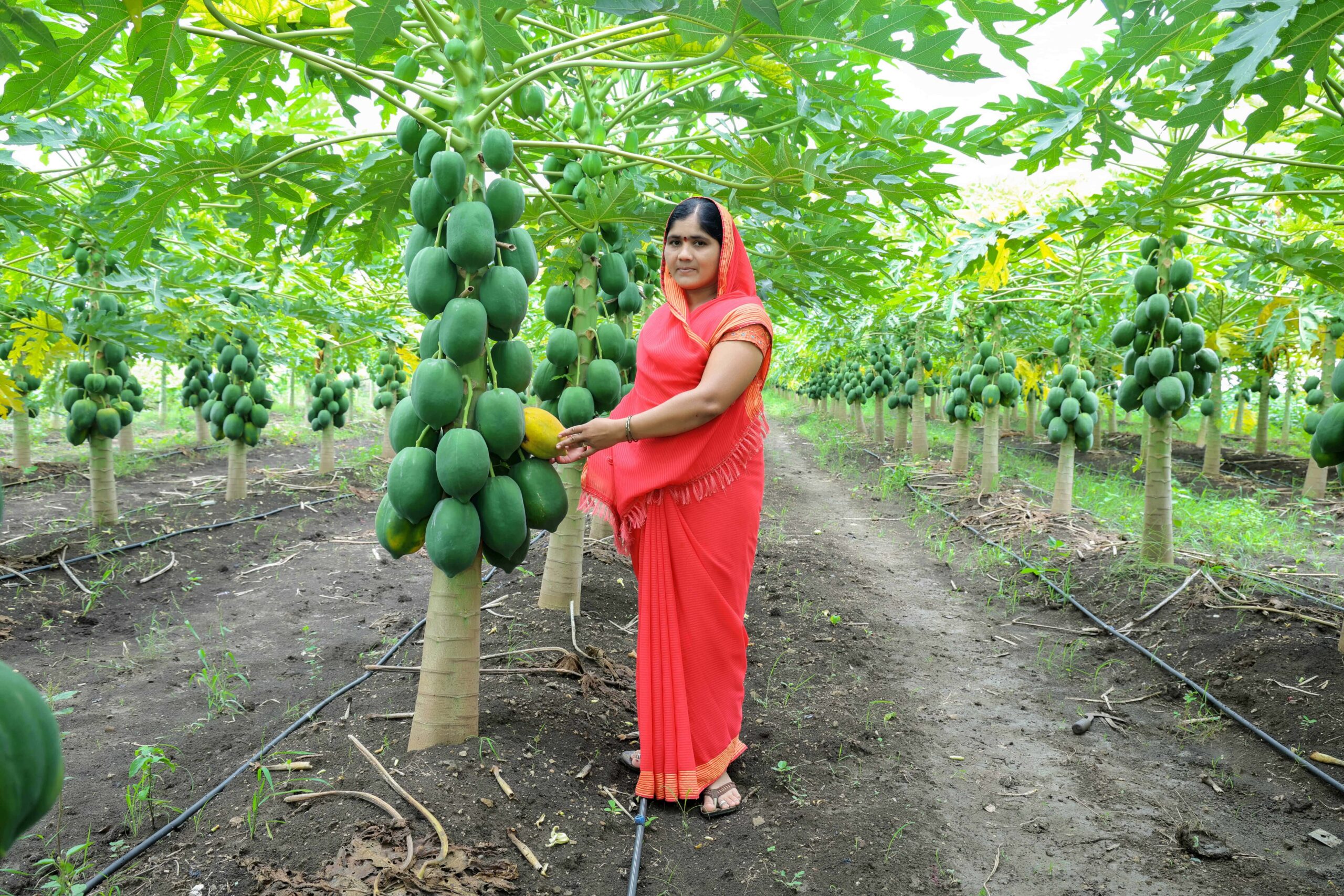 Saroja Garad